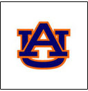 Auburn <br>College Logo Items