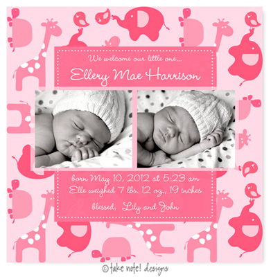 Take Note Designs Digital Photo Birth Announcements - Ellery Mae