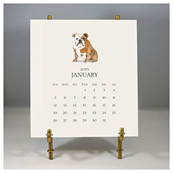 Customized Pet Calendar 2025 Desk Calendar & Easel by Stacy Claire Boyd