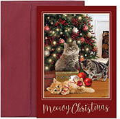 Pre-Printed Boxed Holiday Greeting Cards by Masterpiece Studios (Purrfectly Merry)