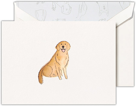 Boxed Folded Notes by Crane (Golden Retriever)